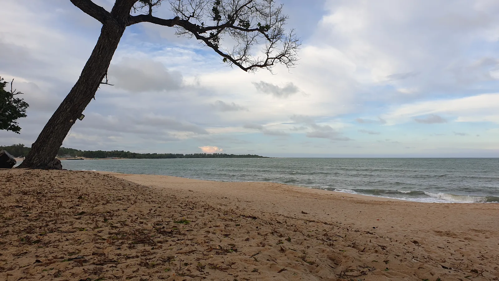 A leaning tree on a quiet sandy beach at Desaru, Johor, looking out over the sea under a cloudy sky