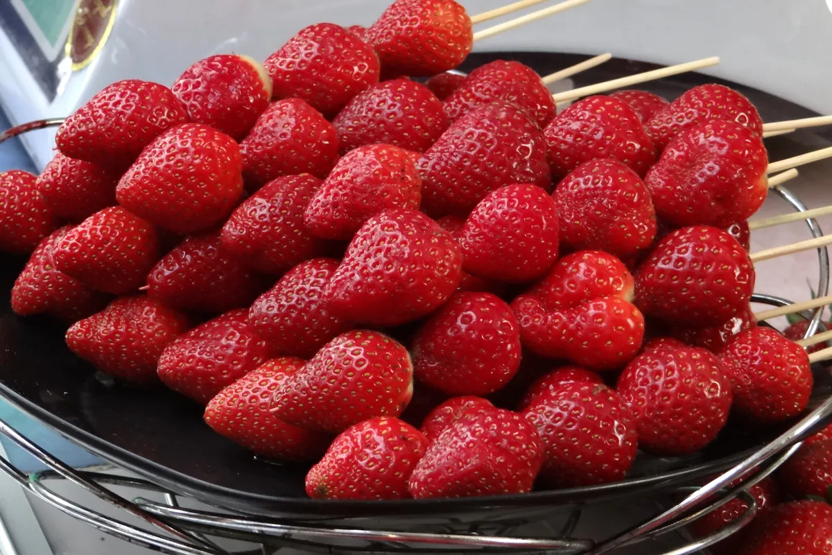 Skewers of fresh strawberries at a strawberry farm in Cameron Highlands