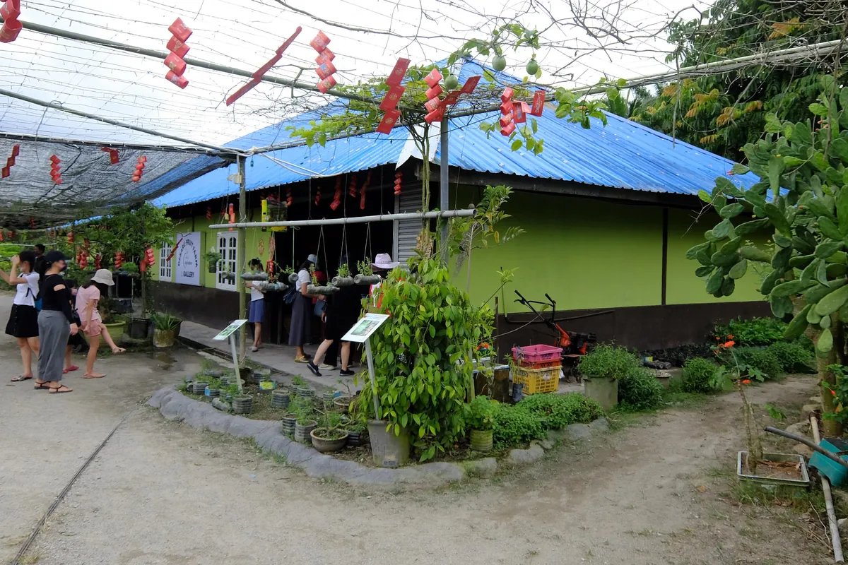 Shaded walkway and fruit trees at Desaru Fruit Farm, Johor