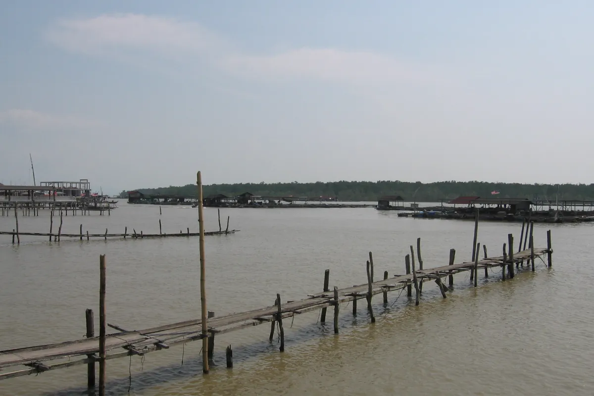 Wooden jetty and fish farms off Kukup with Pulau Kukup mangroves behind