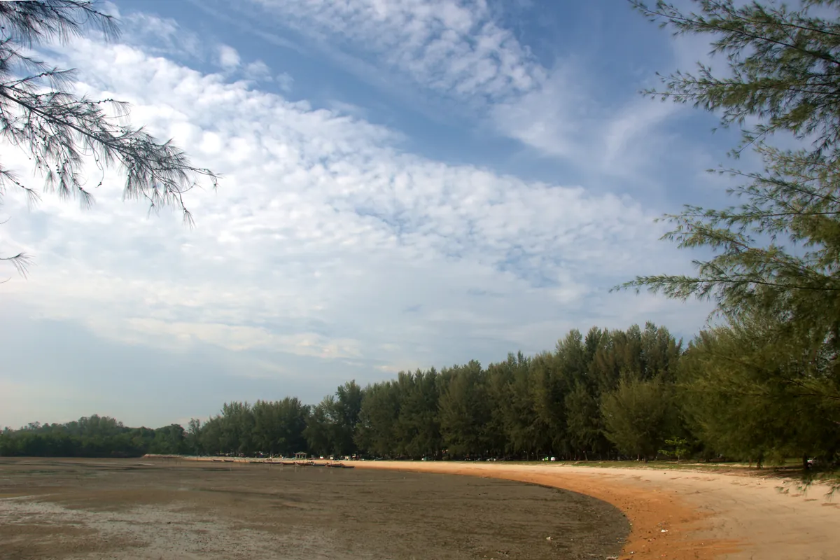 Long curved beach lined with casuarina trees in Port Dickson
