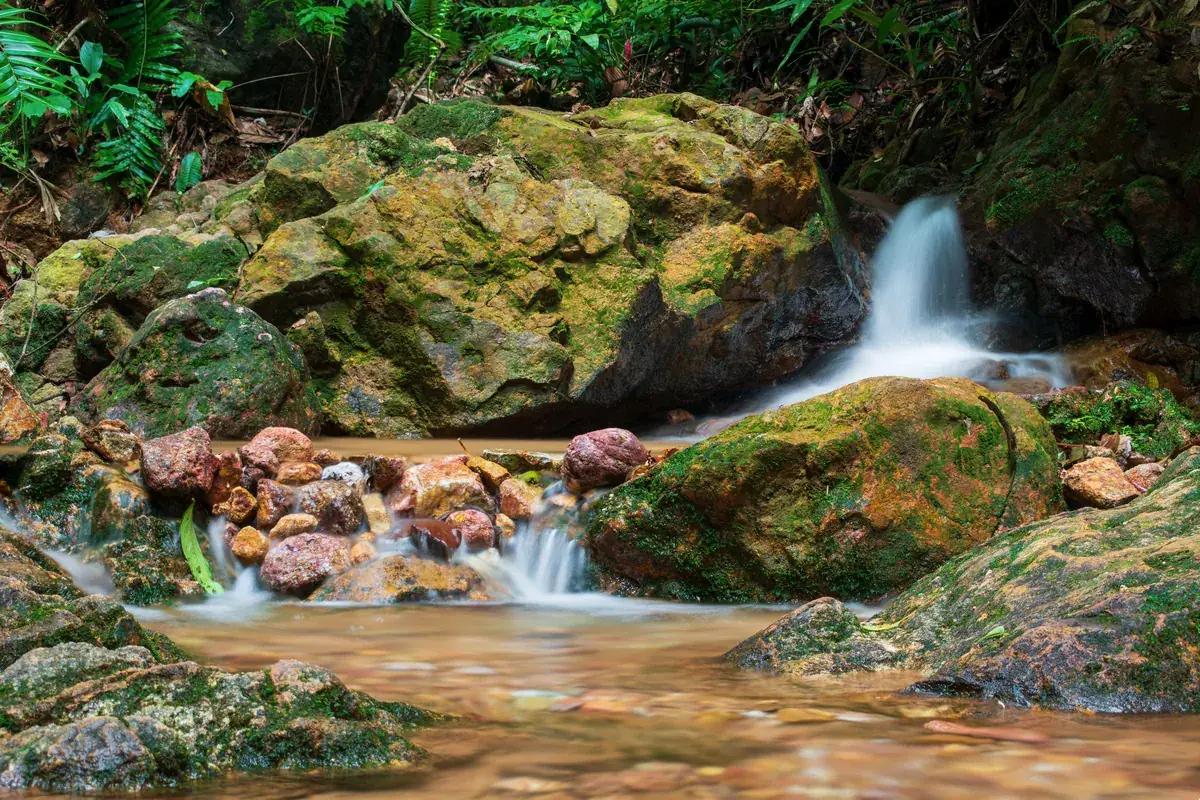 Small waterfall over mossy rocks on Gunung Lambak, Kluang
